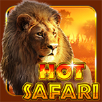 Hot Safari